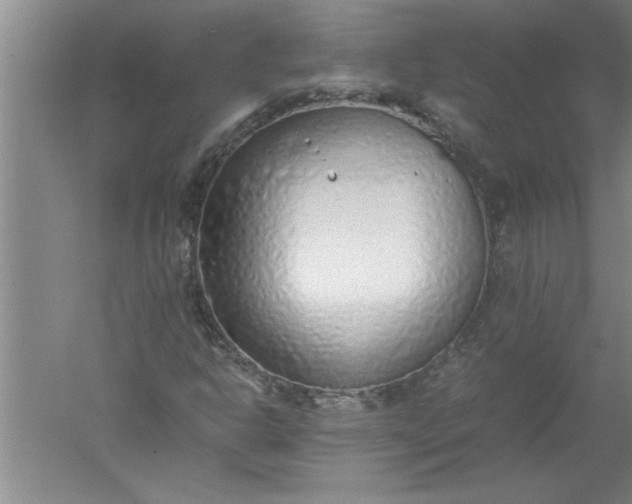 X0000052551302200507152149