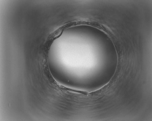 X0000052551303200507152149