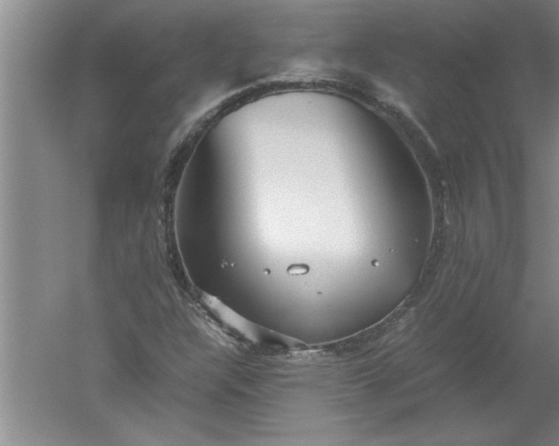 X0000052551304200507152149