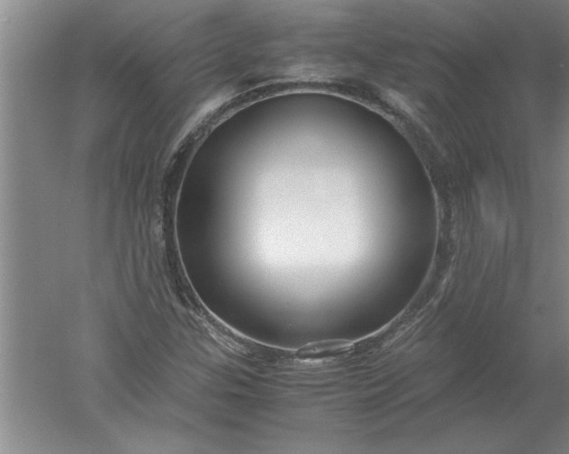 X0000052551307200507152149