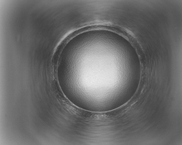 X0000052551310200507152149