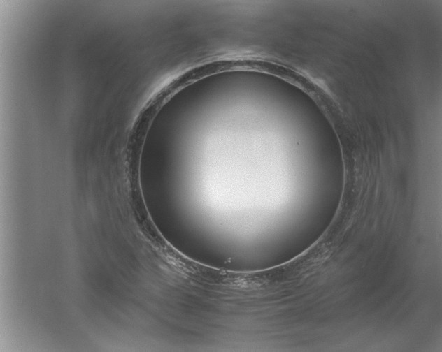 X0000052551311200507152149