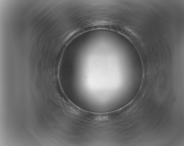 X0000052551313200507152149