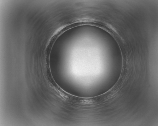 X0000052551315200507152149