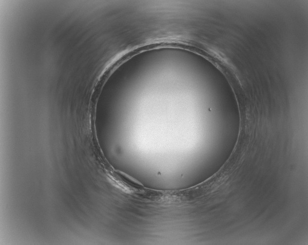 X0000052551316200507152149