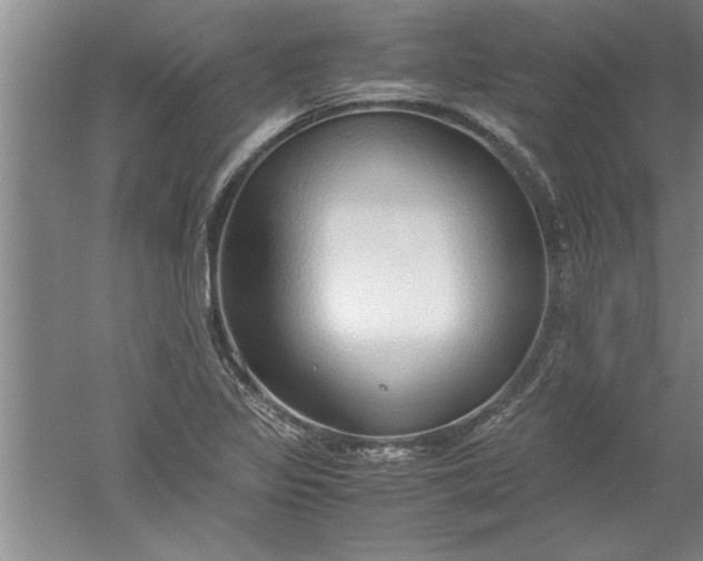 X0000052551317200507152149