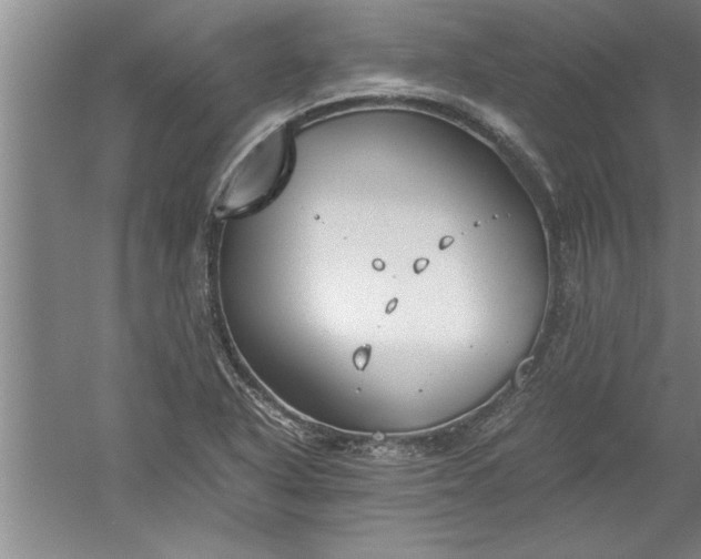 X0000052551318200507152149