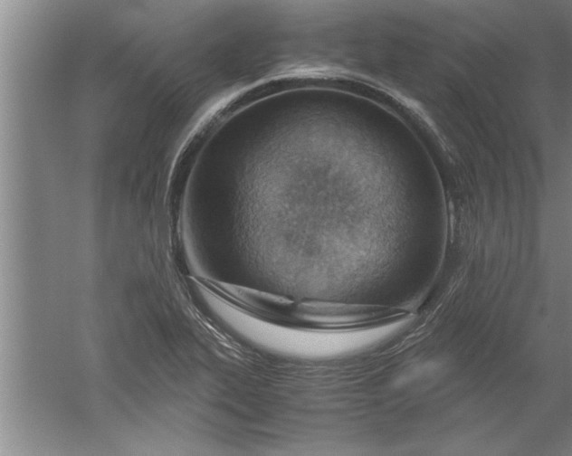 X0000052551319200507152149