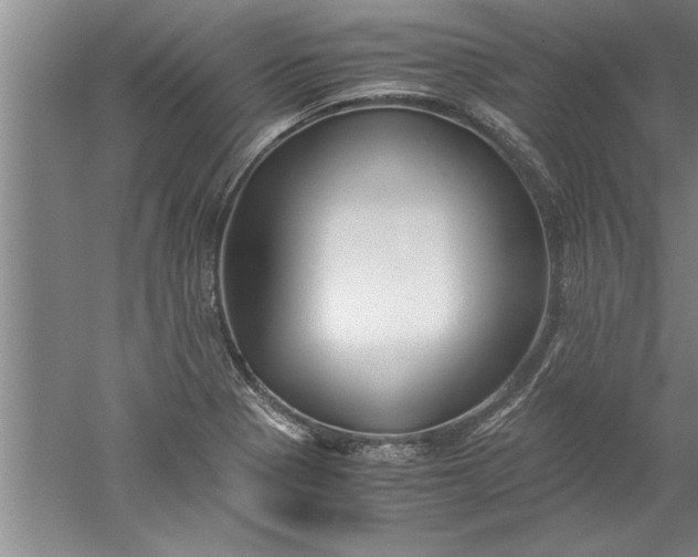 X0000052551321200507152149