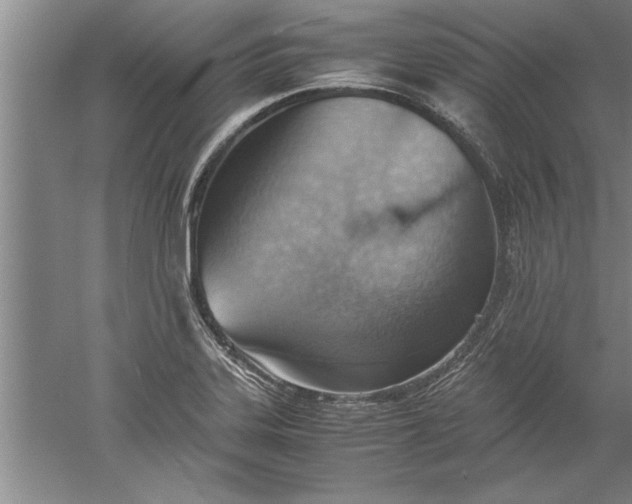 X0000052551323200507152149