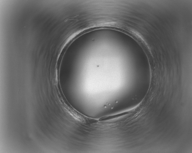 X0000052551324200507152149