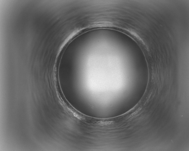 X0000052551325200507152149