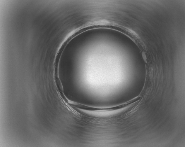 X0000052551326200507152149