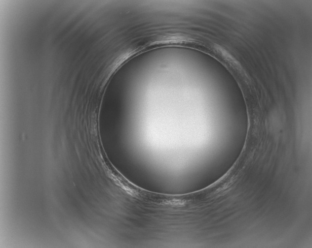 X0000052551329200507152149