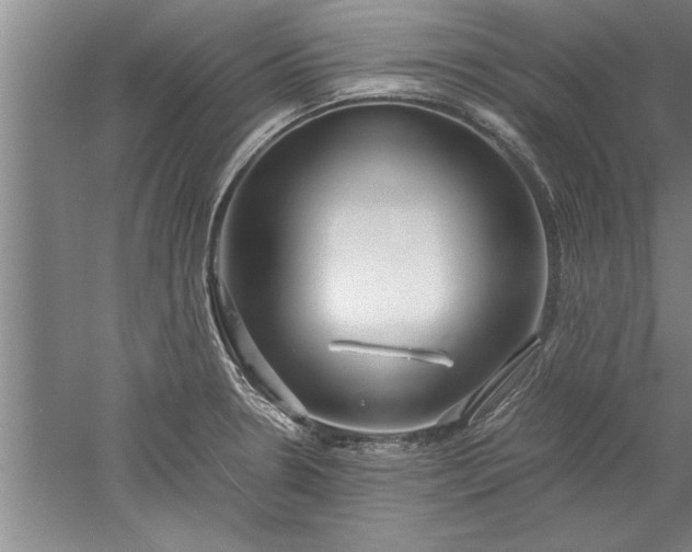 X0000052551330200507152149