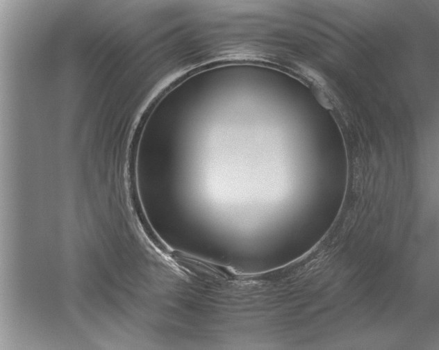 X0000052551331200507152149