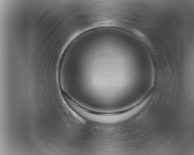 X0000052551334200507152149