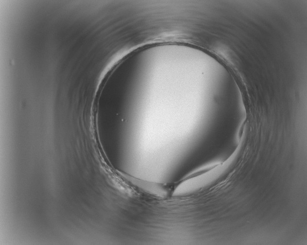 X0000052551336200507152149