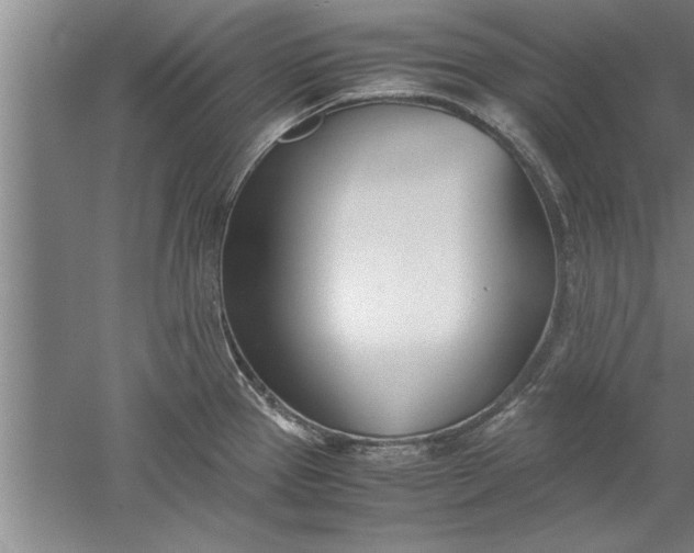 X0000052551337200507152150