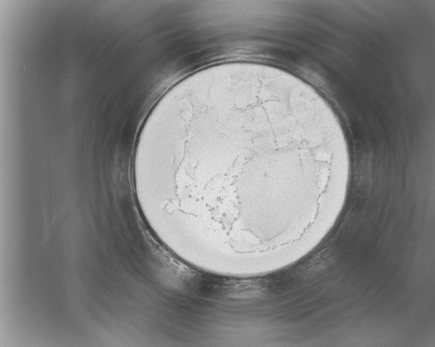 X0000052551338200507152150