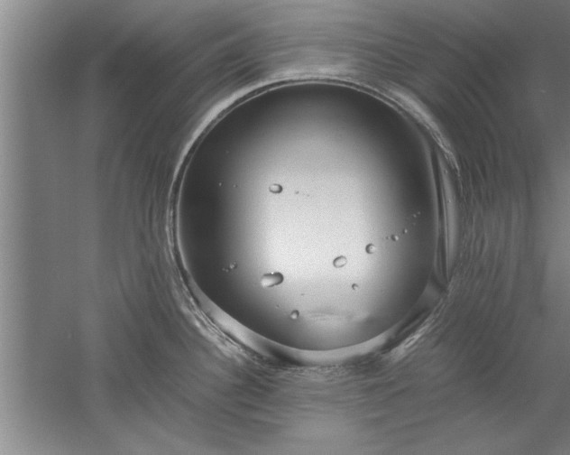 X0000052551340200507152150