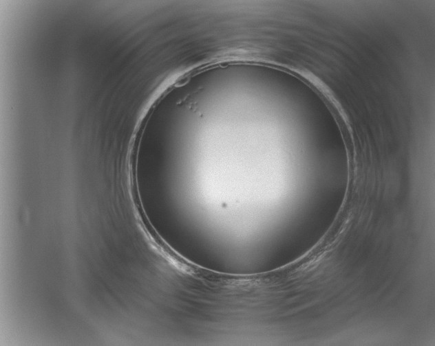 X0000052551341200507152150