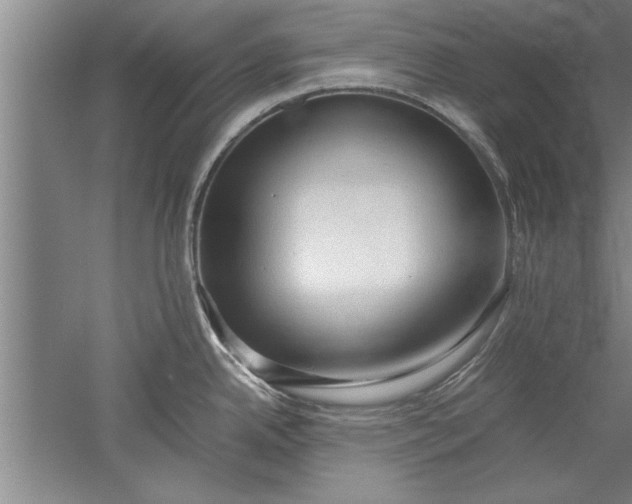 X0000052551342200507152150