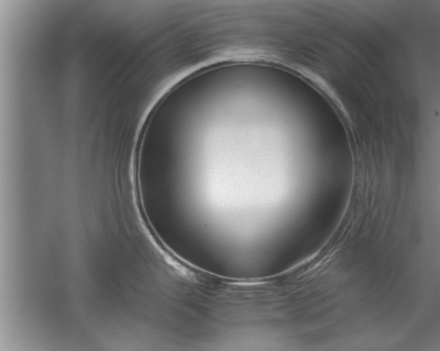 X0000052551343200507152150