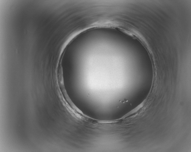 X0000052551344200507152150