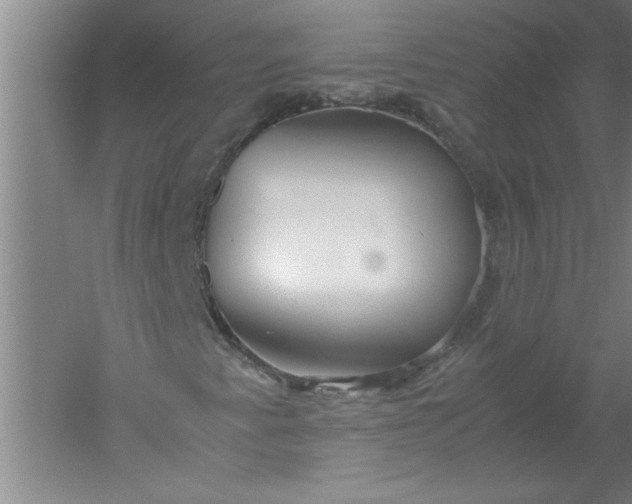 X0000052551345200507152149