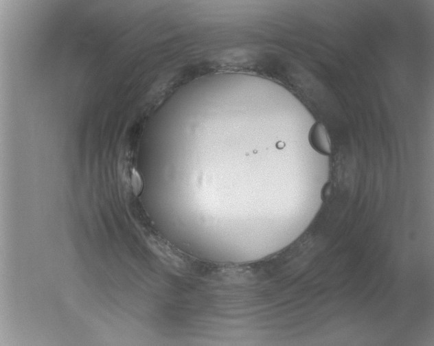 X0000052551346200507152149