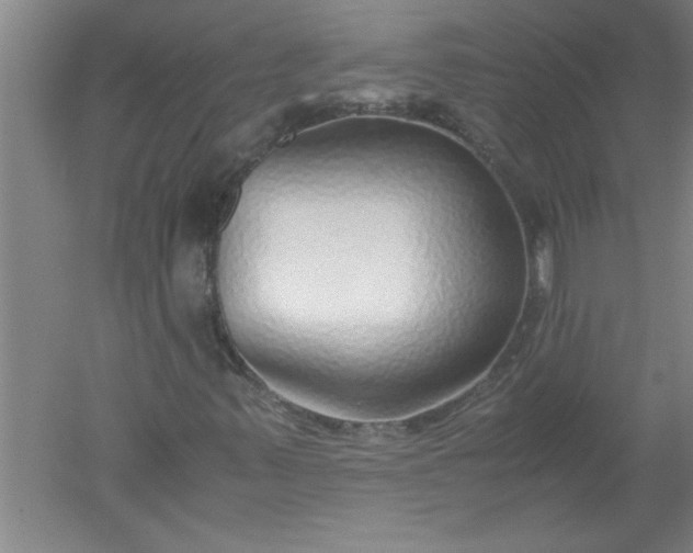 X0000052551347200507152149