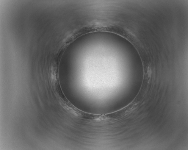 X0000052551348200507152149