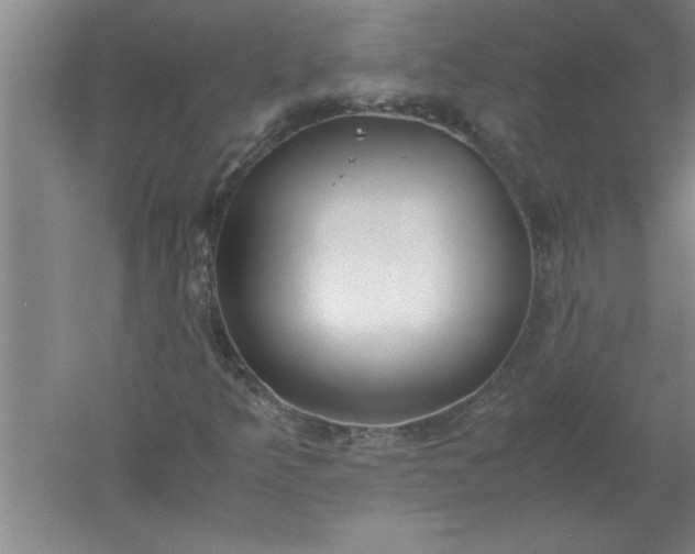 X0000052551349200507152149