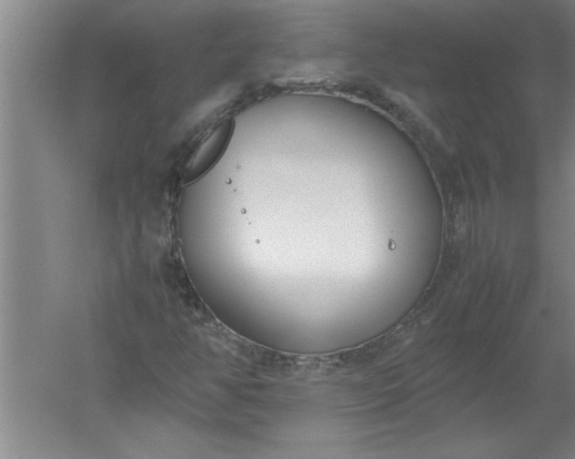 X0000052551350200507152149