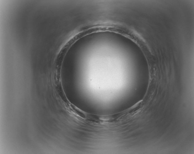 X0000052551352200507152149