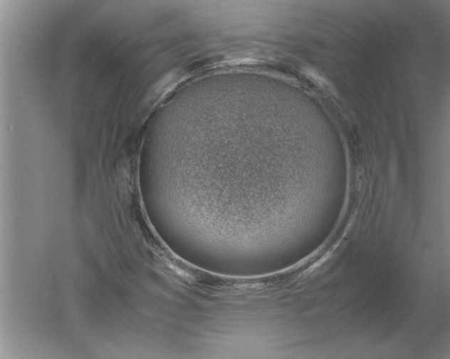 X0000052551353200507152149