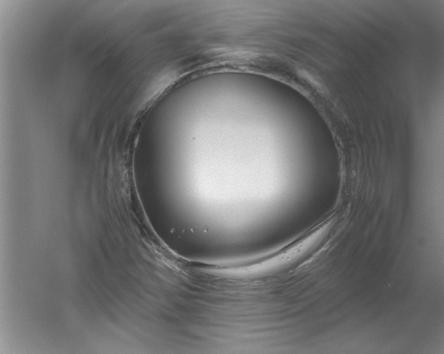 X0000052551354200507152149