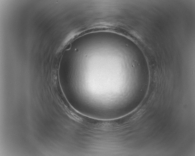 X0000052551355200507152149