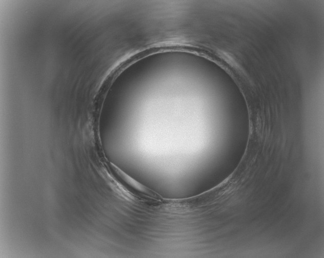 X0000052551356200507152149