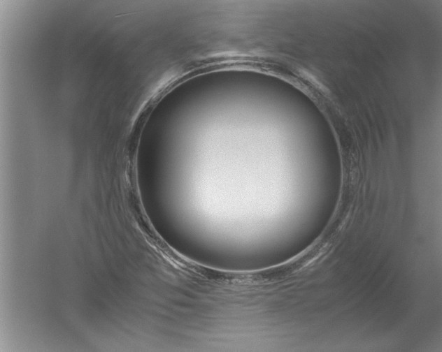 X0000052551357200507152149