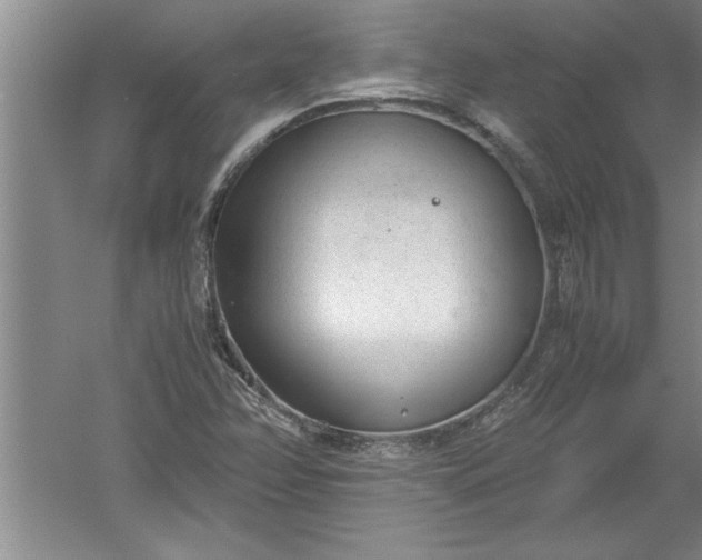 X0000052551358200507152149