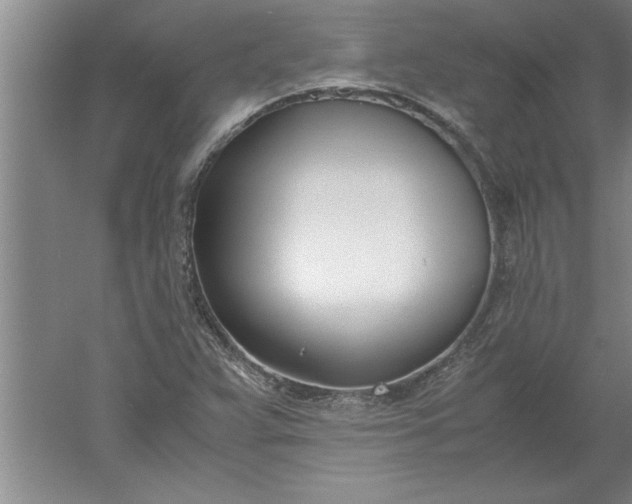 X0000052551359200507152149