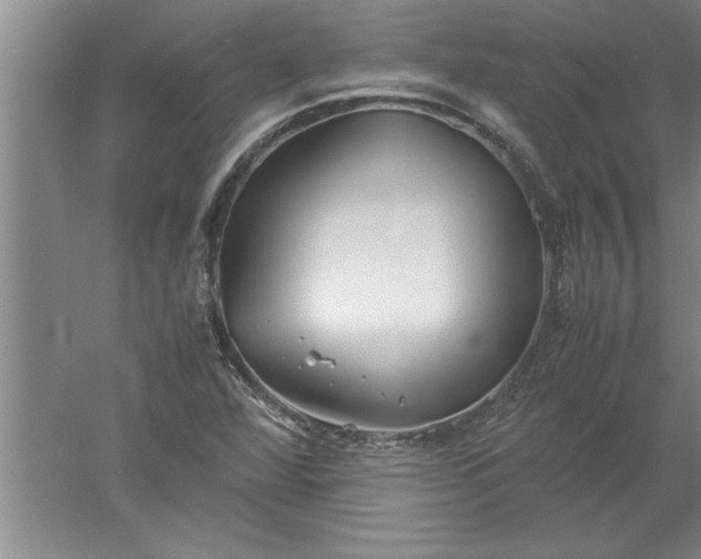 X0000052551360200507152149