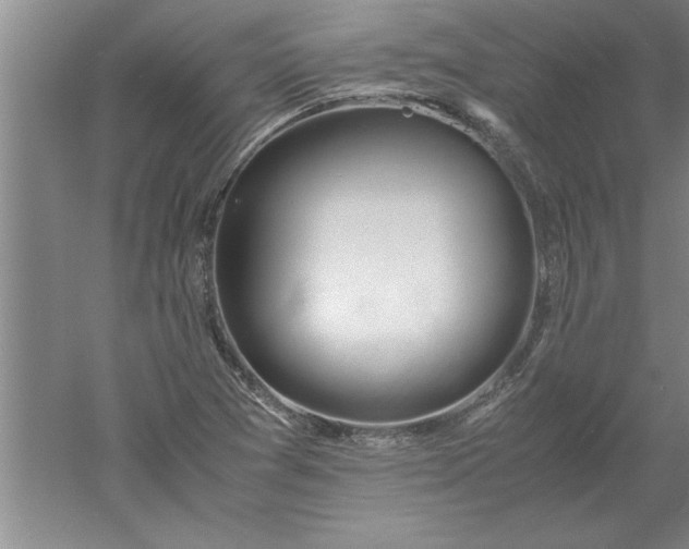 X0000052551361200507152149