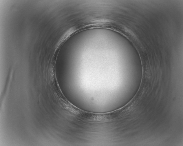 X0000052551362200507152149