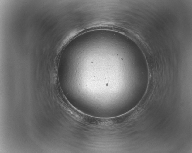 X0000052551363200507152149