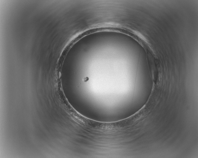 X0000052551364200507152148