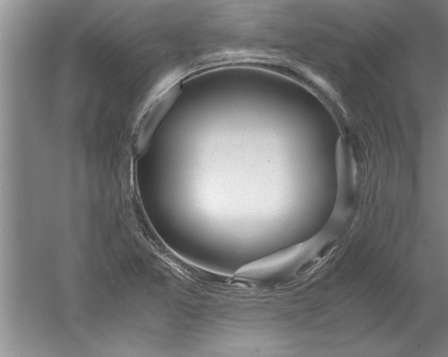 X0000052551365200507152148