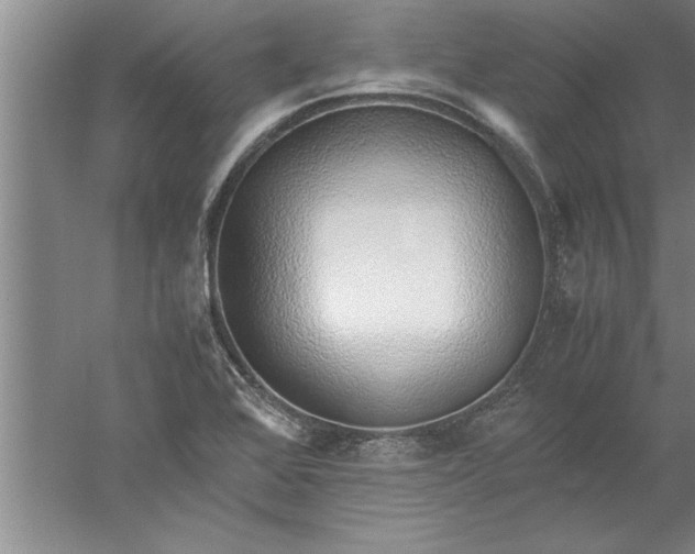 X0000052551368200507152148